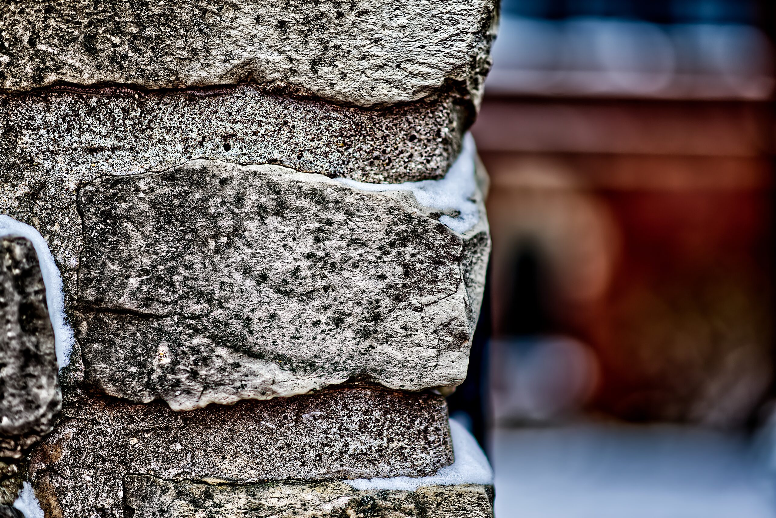 How mycelium bricks are revolutionizing the building industry